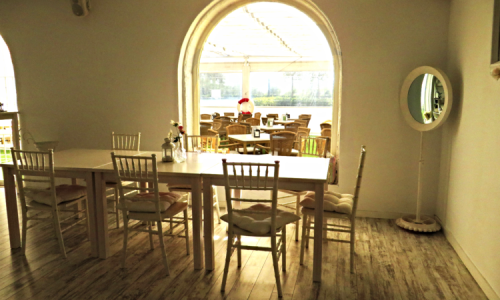 image-asset (9)